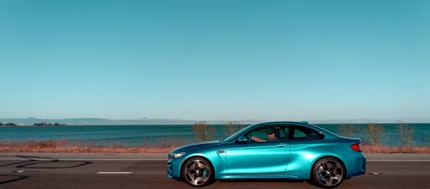 Wolfy Casino Application Android/iOS